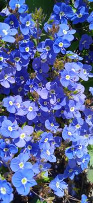 Прикрепленное изображение: prIMG_20220424_113846_1.jpg